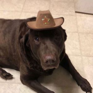 Meet your Posher, Peyton